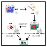 【26SS】ノースリーブ レディース クルーネック | SJ ONLINE STORE | 詳細画像13 