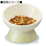 陶器製 短頭犬用食器●イエロー● 陶器 | Skater | 詳細画像5