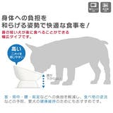 陶器製 短頭犬用食器●イエロー● 陶器 | Skater | 詳細画像3