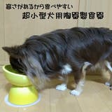 ペット 食器 犬用 | Skater | 詳細画像1 
