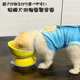 陶器製 短頭犬用食器●イエロー● 陶器 | Skater | 詳細画像1