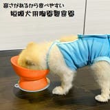 陶器製 短頭犬用食器●オレンジ● 陶器 | Skater | 詳細画像1 