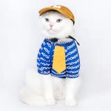 イエロー | 【7128】ロゴキャップ(ペット用) | SneepDip