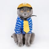 【7128】ロゴキャップ(ペット用) | SneepDip | 詳細画像4 