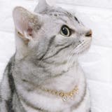 【7131】ハートビジューキラキラネックレス(ペット用)	 | SneepDip | 詳細画像3 