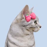 ローズピンク | 【7188】ストロベリーリボンピン | SneepDip