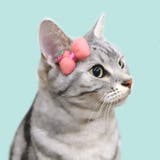 ピンク | 【7188】ストロベリーリボンピン | SneepDip