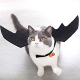 ブラック | 【7227】ペットハロウィーンコスチューム	 | SneepDip