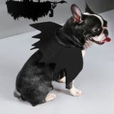 【7227】ペットハロウィーンコスチューム	 | SneepDip | 詳細画像10 