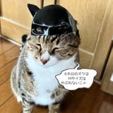 【7228】バットマンペットマスク	 | SneepDip | 詳細画像8 