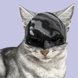 【7228】バットマンペットマスク	 | SneepDip | 詳細画像2 