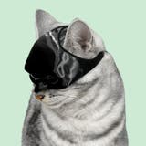 【7228】バットマンペットマスク	 | SneepDip | 詳細画像3 