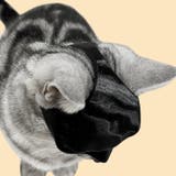 【7228】バットマンペットマスク	 | SneepDip | 詳細画像4 