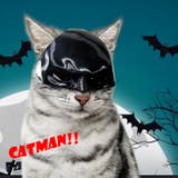 ブラック | 【7228】バットマンペットマスク	 | SneepDip