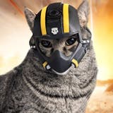ブラック | 【7270】ペットヘルメット	 | SneepDip