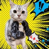 ブラック | 【7271】マッスルパワーアーム	 | SneepDip