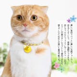 【9987】花柄チョーカー（ペット用） | SneepDip | 詳細画像2 