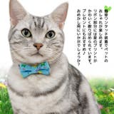 【p006】リボンチョーカー(ペット用首輪） | SneepDip | 詳細画像2 