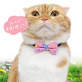 【p006】リボンチョーカー(ペット用首輪） | SneepDip | 詳細画像7 