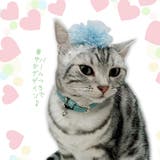 【p0100】チュールカチューシャ | SneepDip | 詳細画像4 