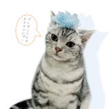 【p0100】チュールカチューシャ | SneepDip | 詳細画像8 