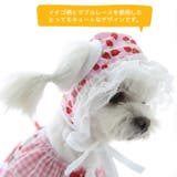 【p6】レースキャップ（小型犬用） | SneepDip | 詳細画像3 
