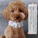 【p014】2WAYレースアクセ（ペット用） | SneepDip | 詳細画像2 