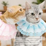 【p019】レーススタイ（ペット用） | SneepDip | 詳細画像2 