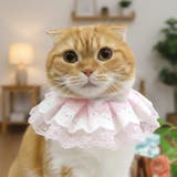 ピンク | 【p019】レーススタイ（ペット用） | SneepDip