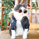 ブラウン | 【p021】ペット用サングラス | SneepDip