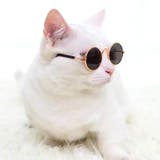 ブラック | 【p021】ペット用サングラス | SneepDip