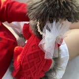 【p026】チュールリボンパールネックレス(ペット用)	 | SneepDip | 詳細画像6 
