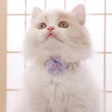 パープル | 【p034】 フラワーアクセサリー(ペット用) 	 | SneepDip