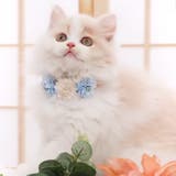 【p034】 フラワーアクセサリー(ペット用) 	 | SneepDip | 詳細画像3 