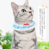 【p7】レーススタイ(ペット用) | SneepDip | 詳細画像2