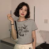 【赤字覚悟！処分セール】トップスＴシャツ半袖ロゴオシャレ | 17kg | 詳細画像17 