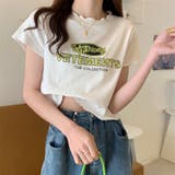 【赤字覚悟！処分セール】トップスＴシャツ半袖カジュアルロゴオシャレ | 17kg | 詳細画像11 