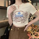 【SHOPLIST限定】トップスＴシャツ半袖Ⅴネックロゴオシャレ【ピン無し】 | 17kg | 詳細画像3 