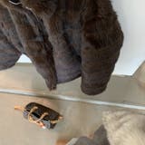 甘辛系ガールズ☆レトロ調フェイクミンクゆったり中綿ファーコート | 17kg | 詳細画像22