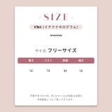 大人っぽく洗練された【春】優しい雰囲気スタンドカラー刺繍チュールインナー | 17kg | 詳細画像42