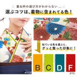 重ね衿 成人式向け 日本製 | SOUBIEN | 詳細画像5