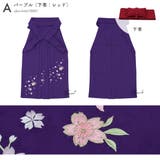 袴 卒園式 幼稚園 | BiSOU | 詳細画像6 