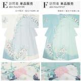 訪問着 単品 レディース | SOUBIEN | 詳細画像5 