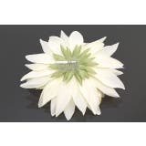 髪飾り 成人式 振袖 | SOUBIEN | 詳細画像5 