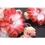 髪飾り 2点セット 成人式 | SOUBIEN | 詳細画像5