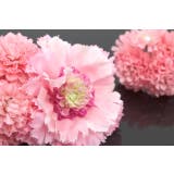 髪飾り 2点セット ピンク | SOUBIEN | 詳細画像5