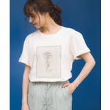 アイボリー | 線描きバラプリント Tシャツ | SpRay