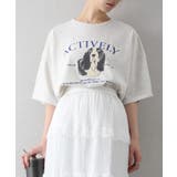 バセットバウンドロゴ BIG Tシャツ | SpRay | 詳細画像29