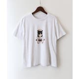 オートミール | CAT転写Tシャツ | SpRay