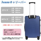 Mサイズマットファスナーキャリーケース | STAR TRADING | 詳細画像4 